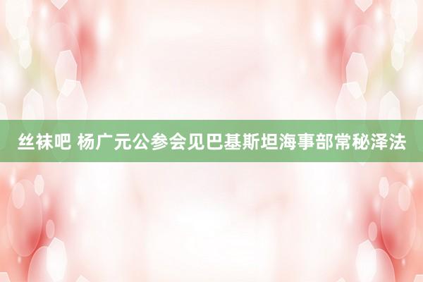 丝袜吧 杨广元公参会见巴基斯坦海事部常秘泽法