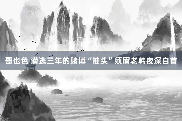 哥也色 潜逃三年的赌博“抽头”须眉老韩夜深自首