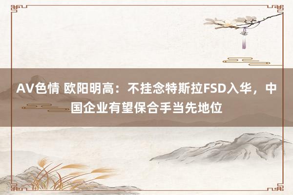 AV色情 欧阳明高：不挂念特斯拉FSD入华，中国企业有望保合手当先地位
