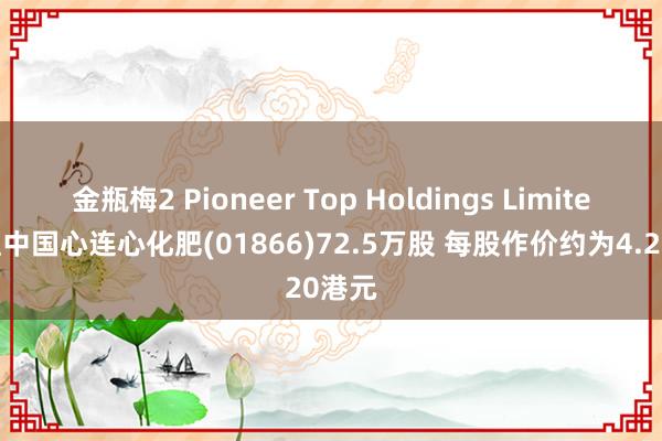 金瓶梅2 Pioneer Top Holdings Limited增捏中国心连心化肥(01866)72.5万股 每股作价约为4.20港元