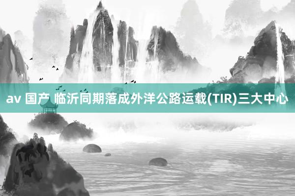 av 国产 临沂同期落成外洋公路运载(TIR)三大中心