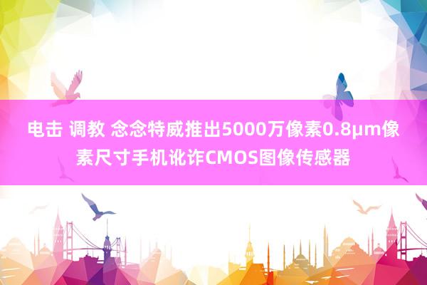 电击 调教 念念特威推出5000万像素0.8μm像素尺寸手机讹诈CMOS图像传感器