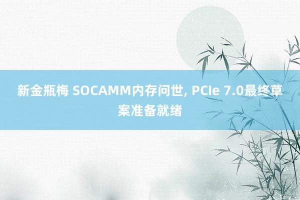 新金瓶梅 SOCAMM内存问世， PCIe 7.0最终草案准备就绪