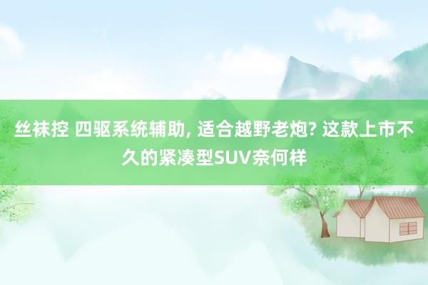 丝袜控 四驱系统辅助， 适合越野老炮? 这款上市不久的紧凑型SUV奈何样