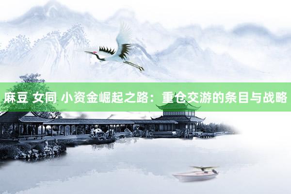 麻豆 女同 小资金崛起之路：重仓交游的条目与战略