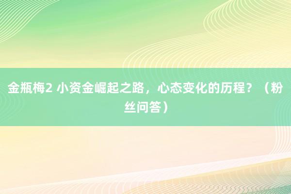 金瓶梅2 小资金崛起之路，心态变化的历程？（粉丝问答）