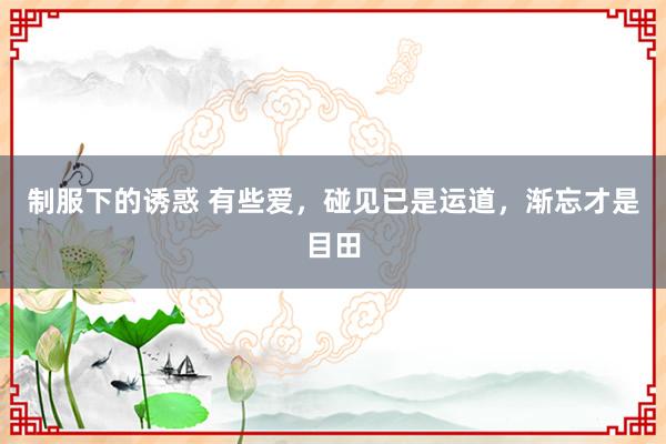 制服下的诱惑 有些爱，碰见已是运道，渐忘才是目田