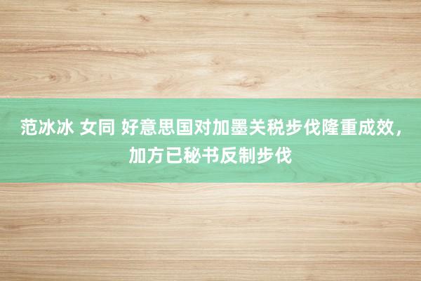 范冰冰 女同 好意思国对加墨关税步伐隆重成效，加方已秘书反制步伐
